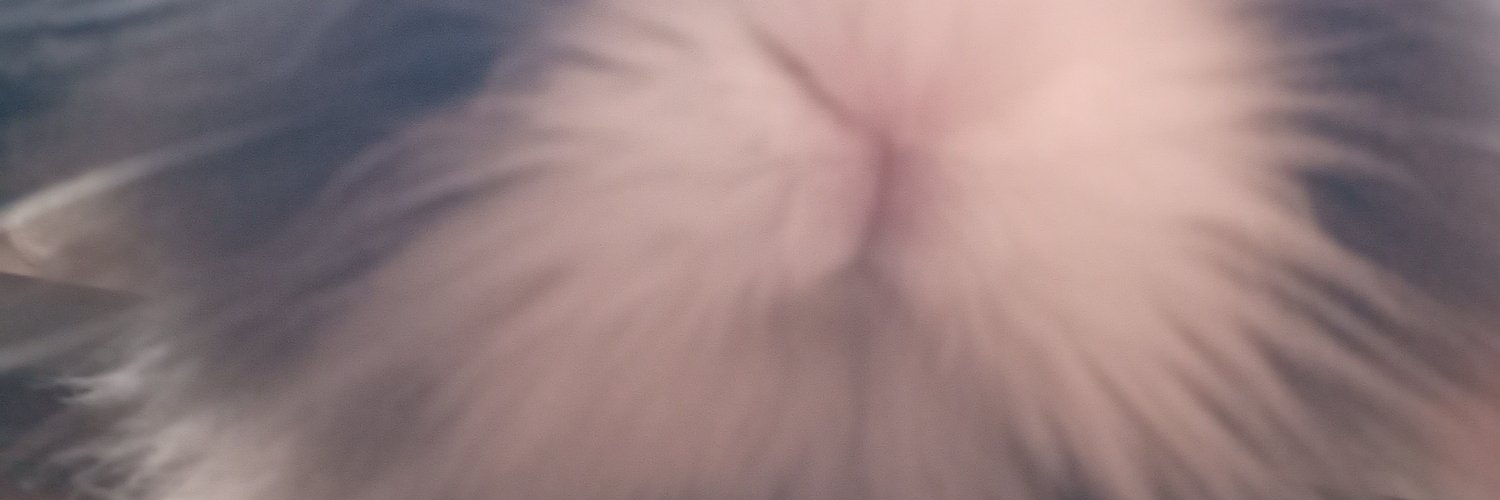 silaaccelik's profile banner image