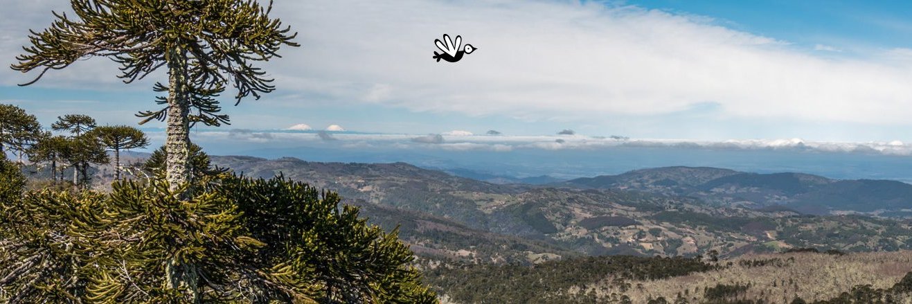 matiastobar's profile banner image