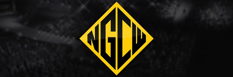 NGCWPierce's profile banner image