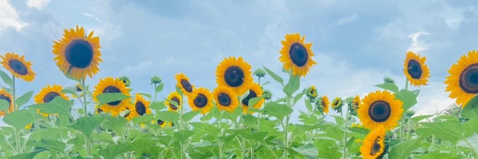 FatimaaGonzalez's profile banner image