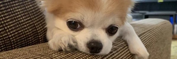 s_seigo114's profile banner image