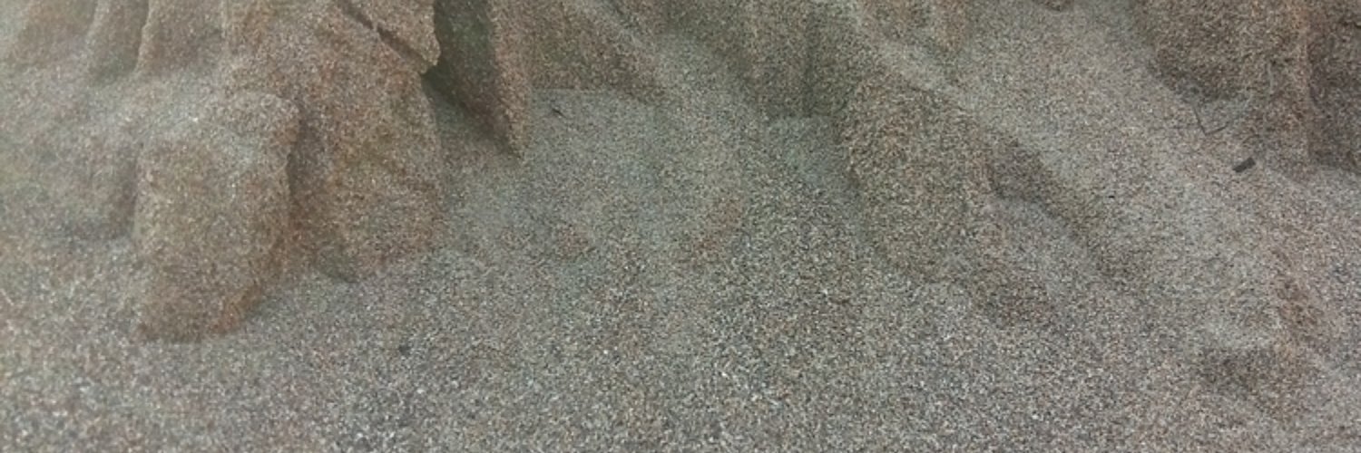 BuddiHolmes's profile banner image