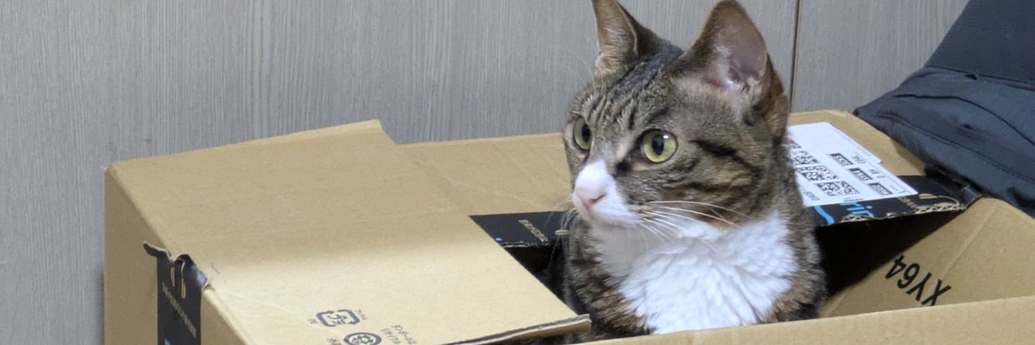 みやぎさん🟠 banner