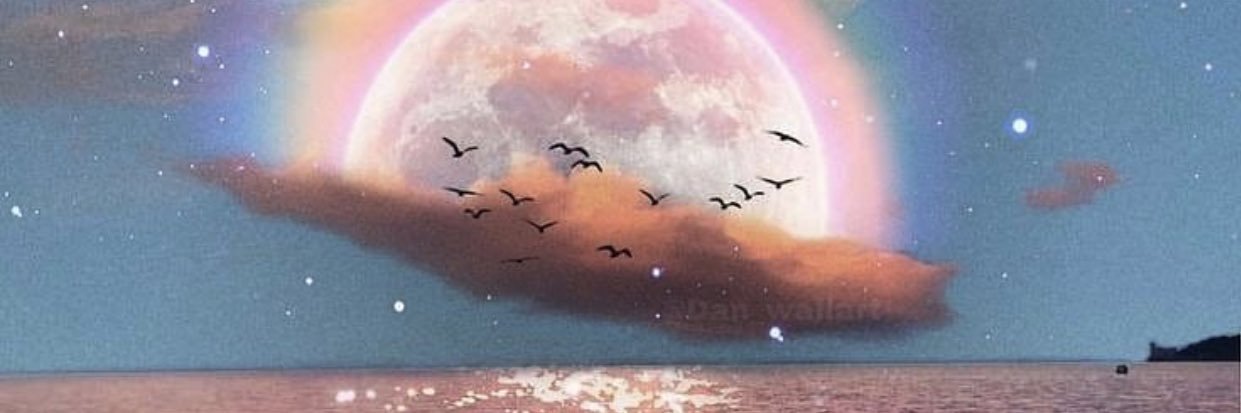 celeshaaaaa's profile banner image