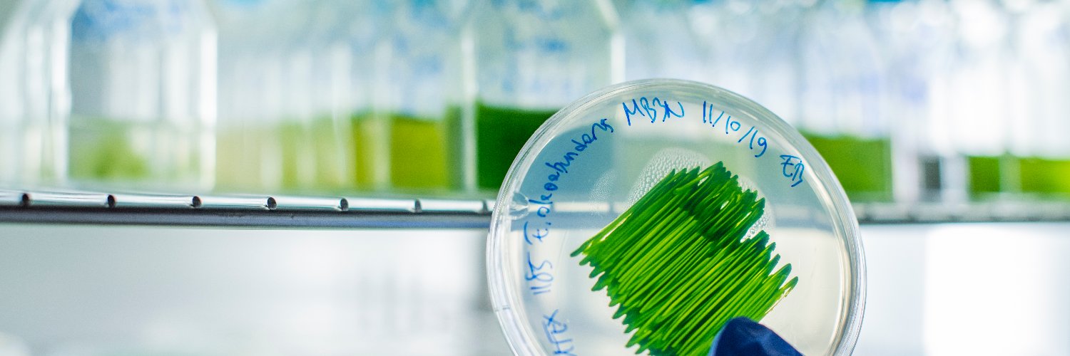 Berat Haznedaroglu banner