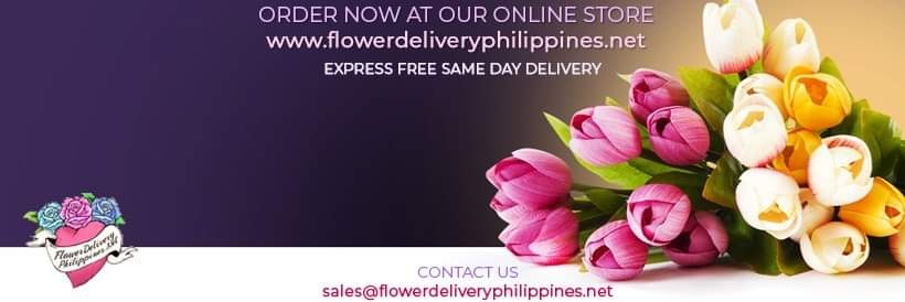 FDeliveryPH_net's profile banner image