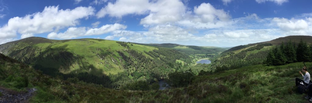 Sam Freeman Carney (he/him) banner