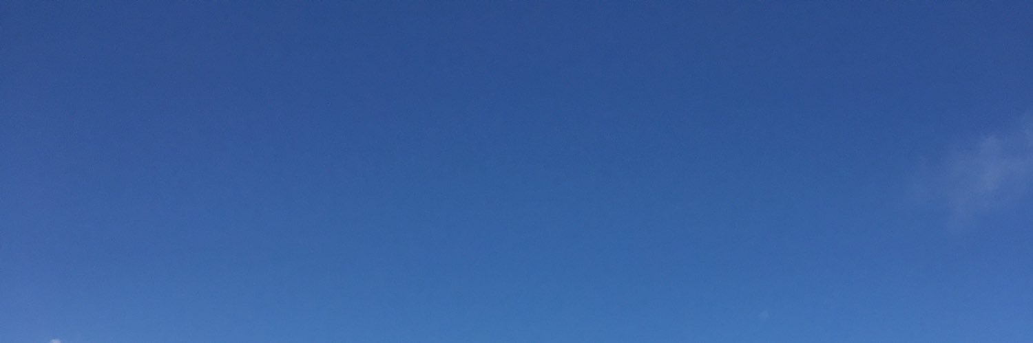 honogato's profile banner image