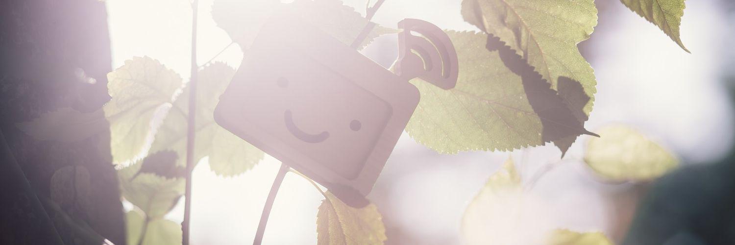 raintime03's profile banner image