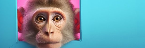 IIceQuentin's profile banner image