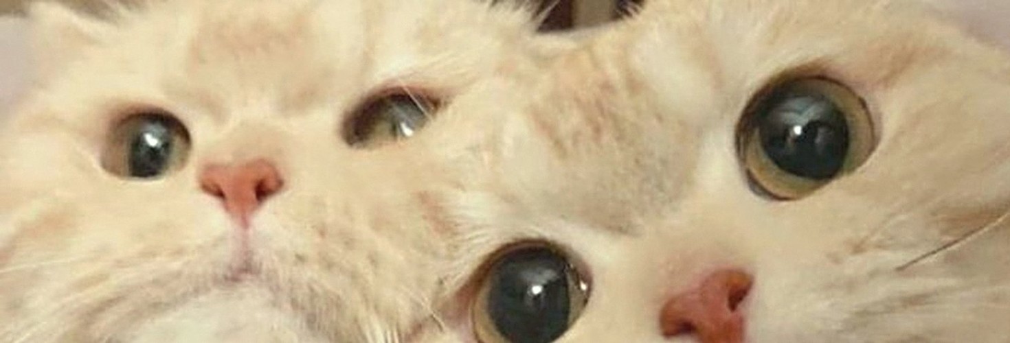 basooma322's profile banner image