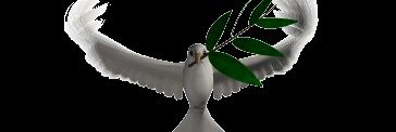 kamilfb9's profile banner image