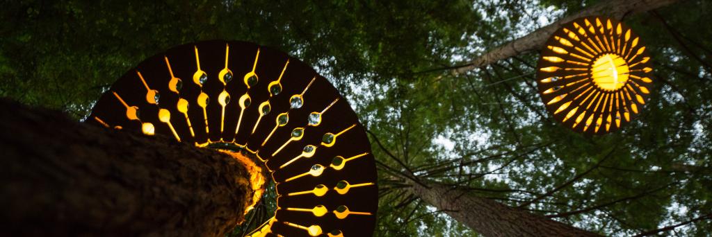 treewalkNZ's profile banner image
