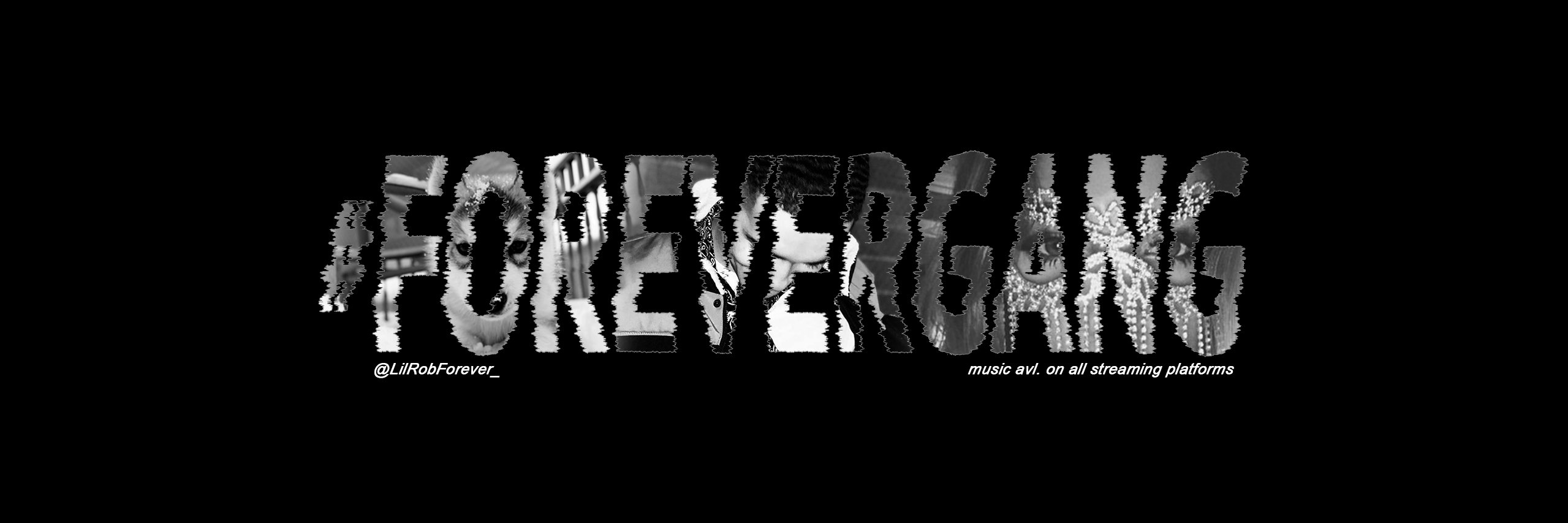 LilRobForever_'s profile banner image