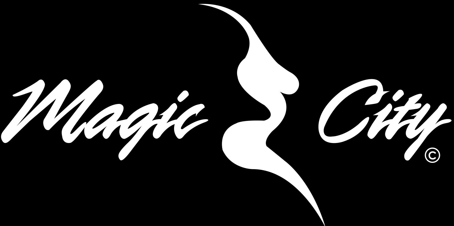 Magic City banner