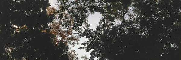 annlee_joy Profile Banner