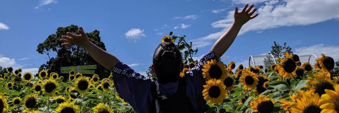 mito81206301's profile banner image