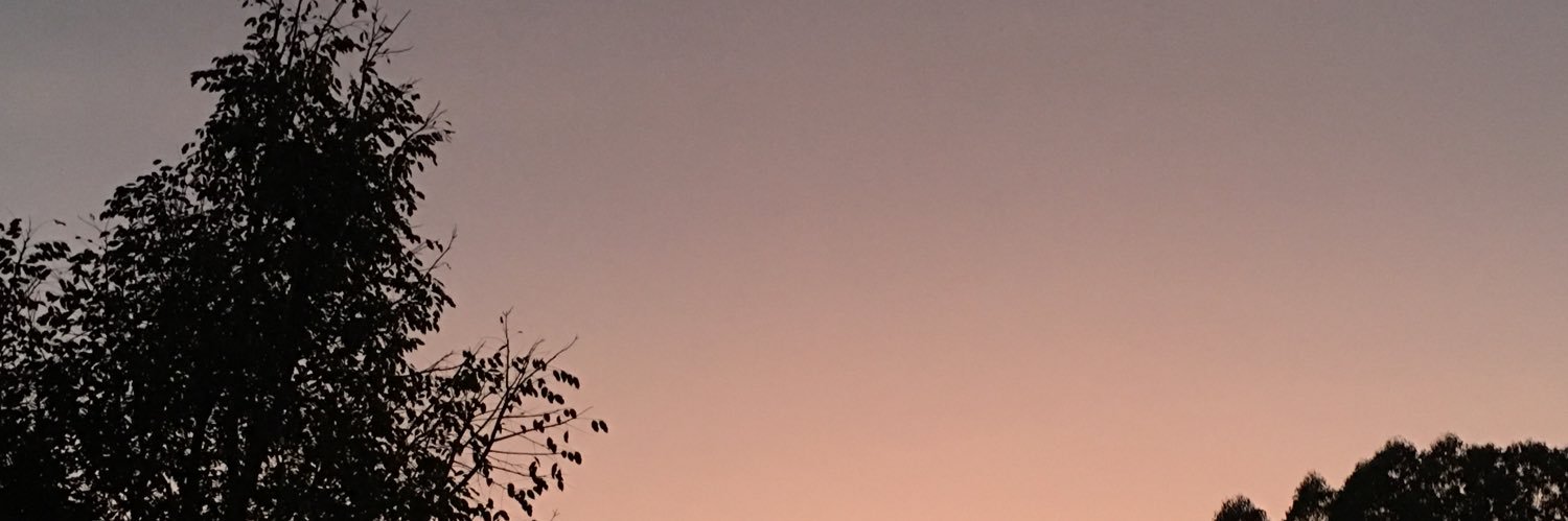 •𝗖𝘁• banner