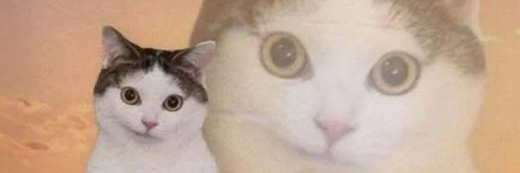 redmarIboroo's profile banner image