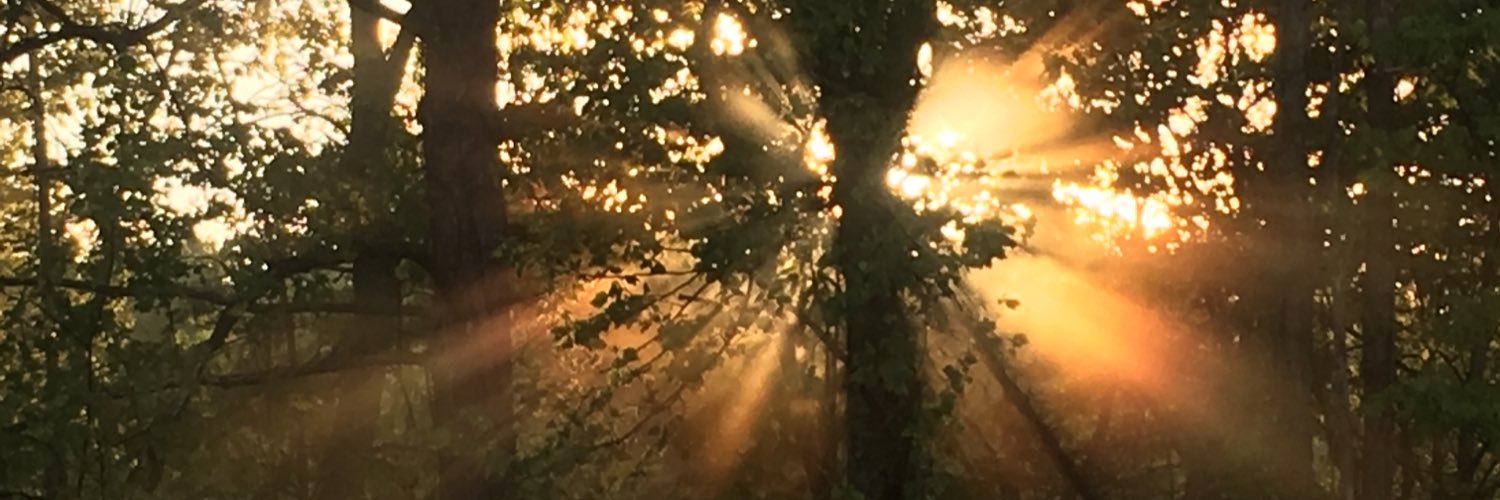 ShannonDW48's profile banner image