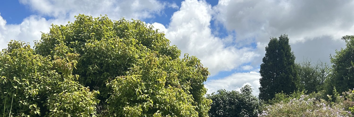 Learning For All Outdoors banner