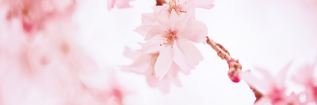 Sharrat_RK's profile banner image