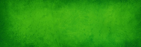 basmahbintsaud's profile banner image