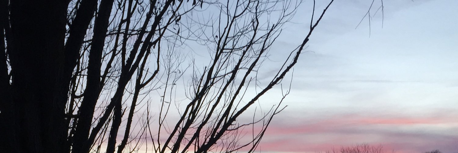 MandyDumont's profile banner image
