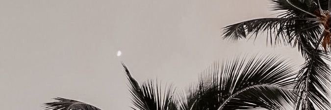 iman_anees's profile banner image