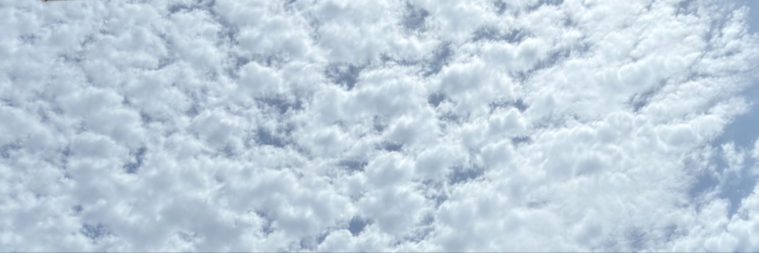 21_iiAS's profile banner image