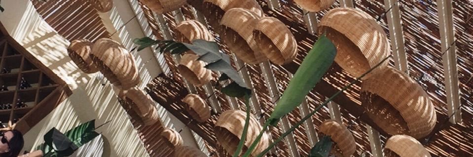 meldaayan4's profile banner image