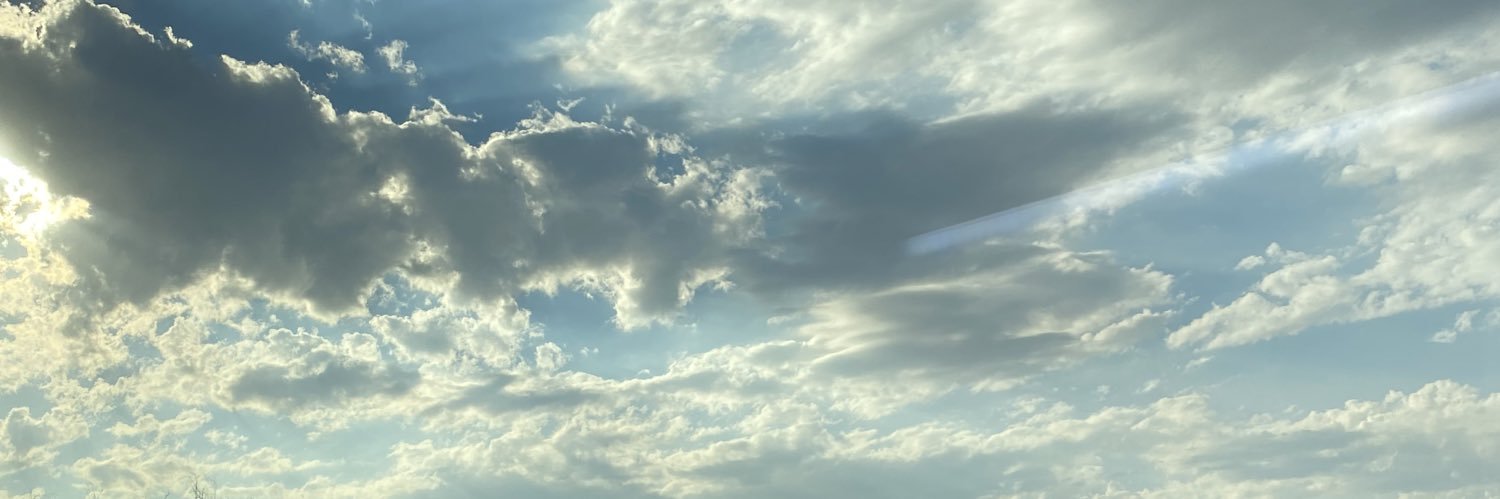Seteney Meliş banner
