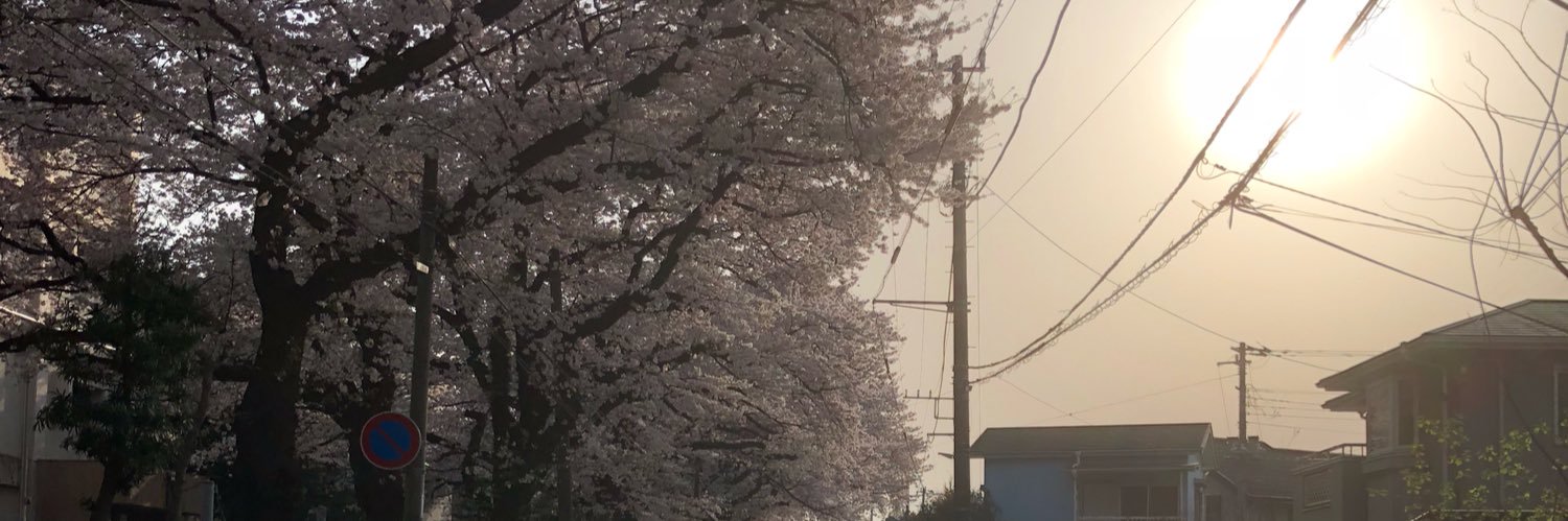___se_taro___'s profile banner image