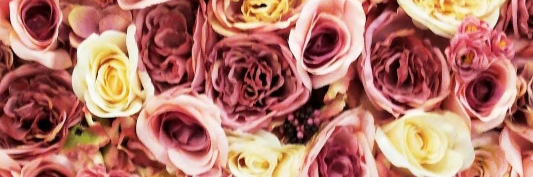 ale🍷☁️ banner