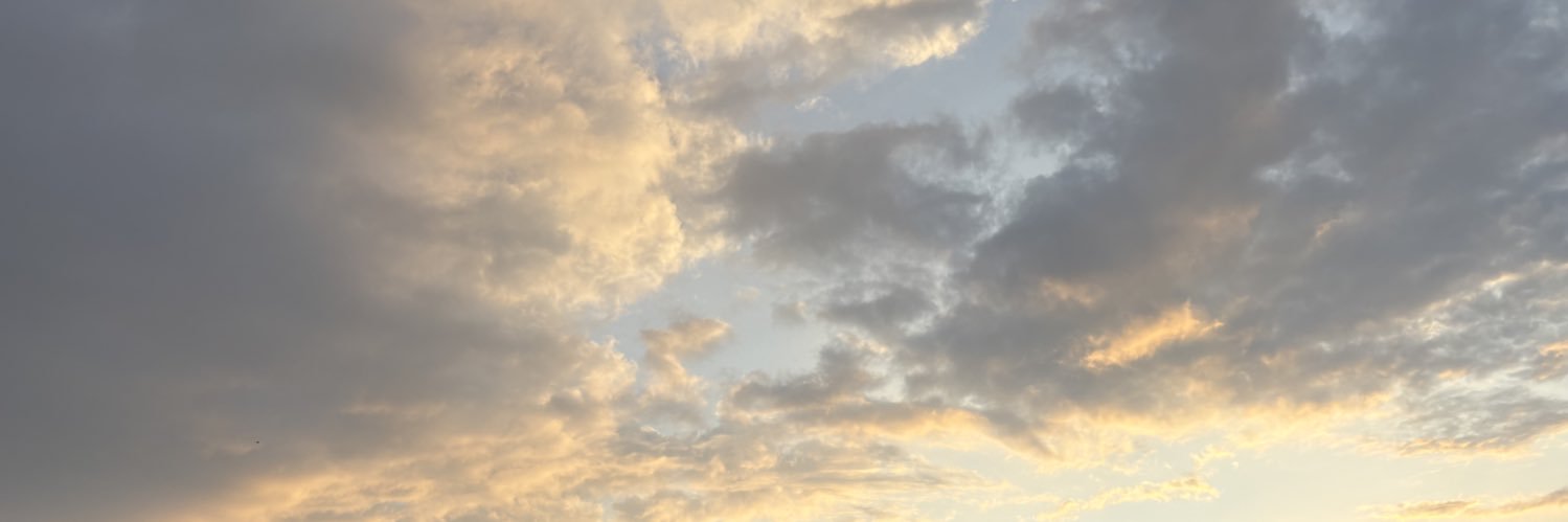 ∵ banner