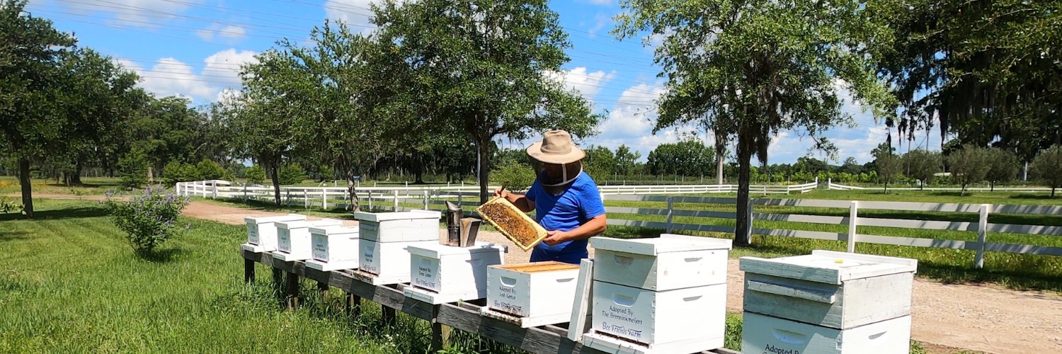 BeeFriendsFarm's profile banner image