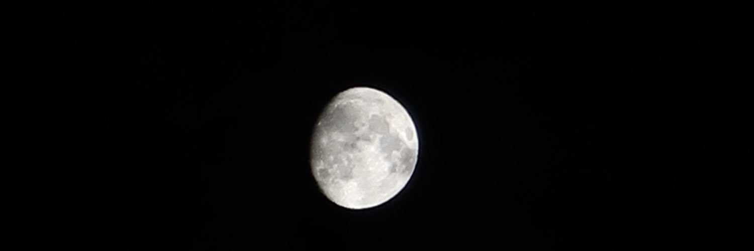 Lucerofloresss's profile banner image