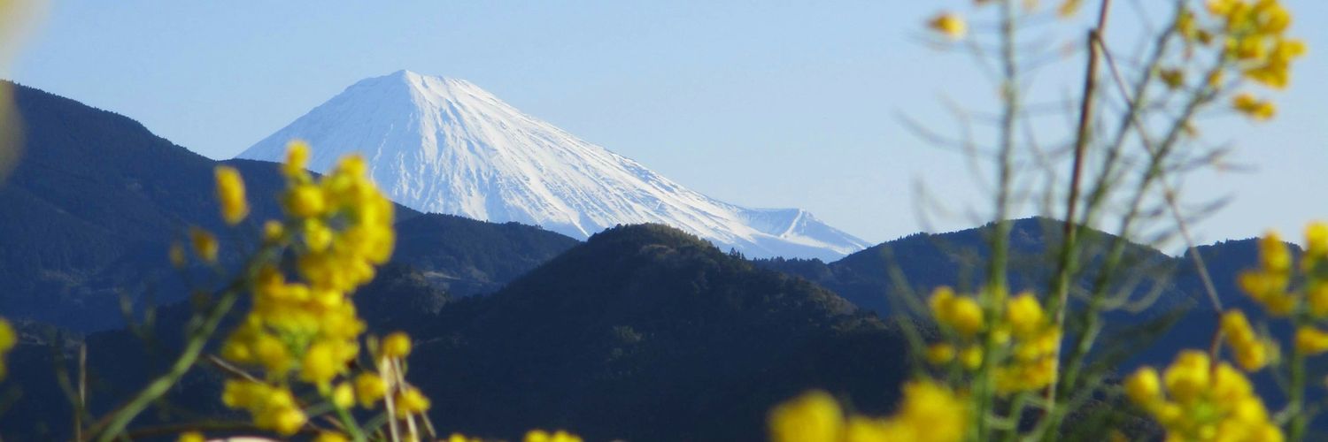 満月 banner