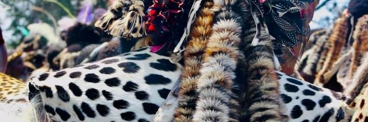 Peabo_M's profile banner image
