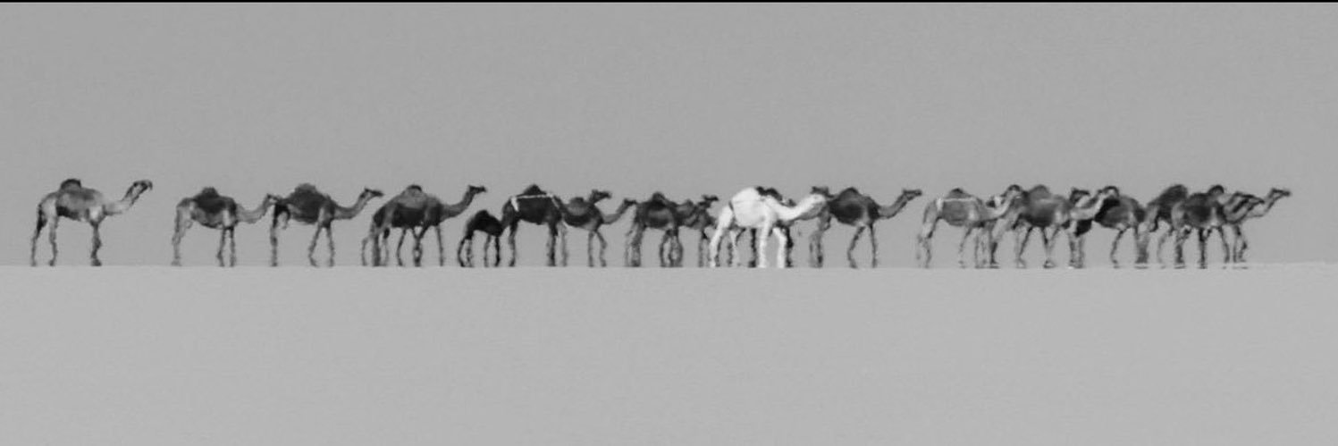 احمد محمد الجعدان banner