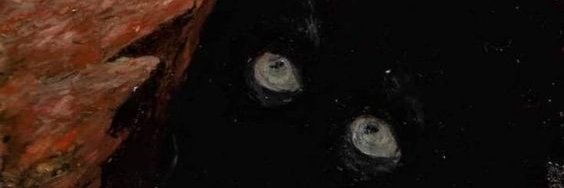 jjooau's profile banner image