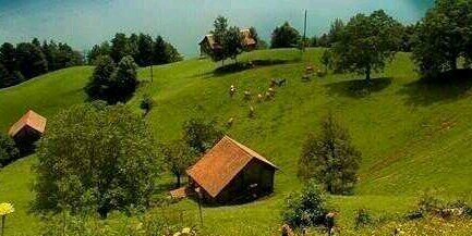 عبدالله الجدعاني banner