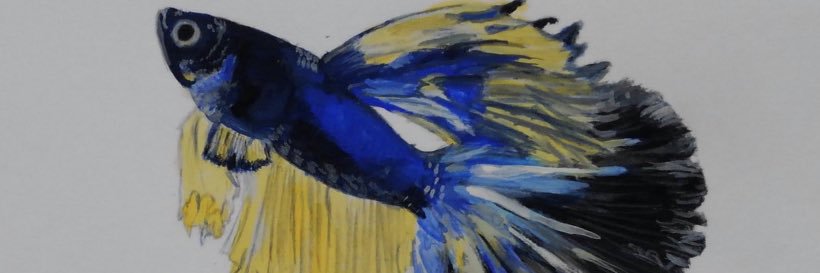 βαsil@NGE⚽Aquarist banner