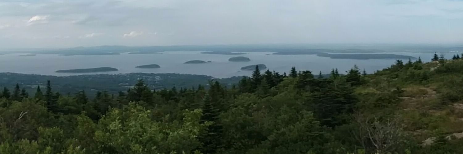 vicshattuck's profile banner image