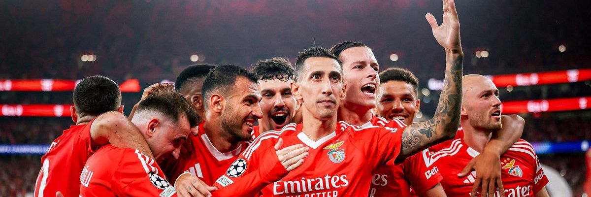 Matoislove's profile banner image