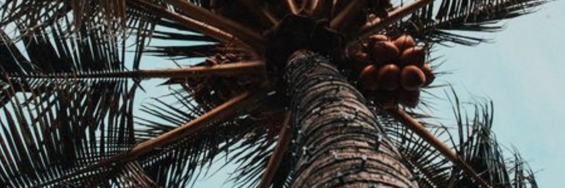 yd888888's profile banner image