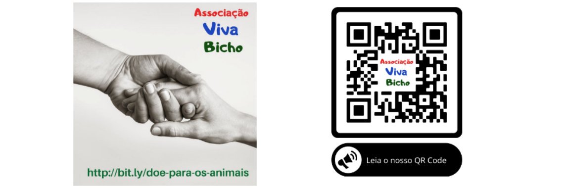 avivabicho's profile banner image