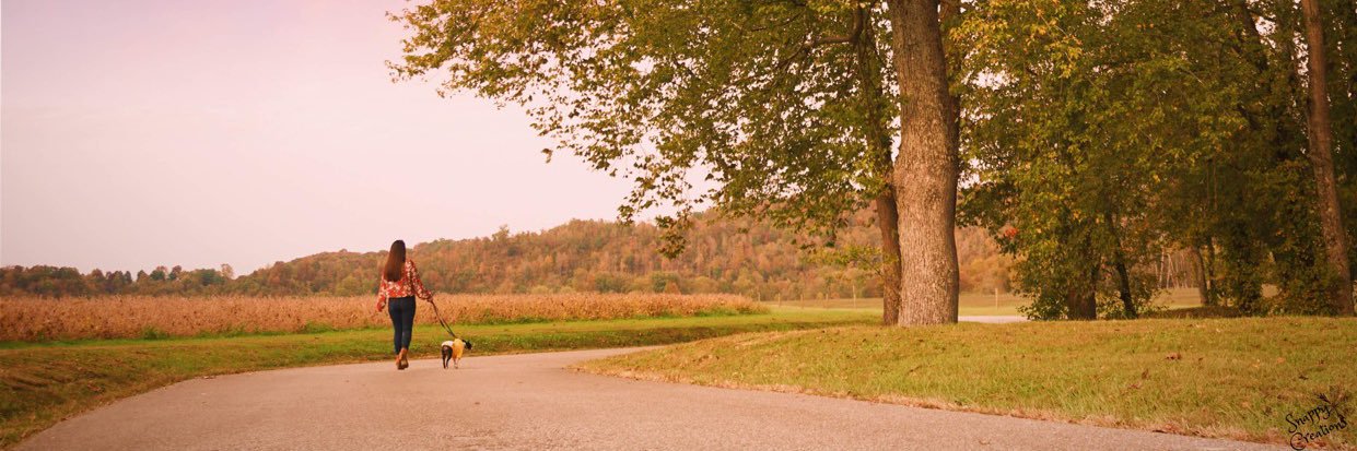 ashleerose77's profile banner image
