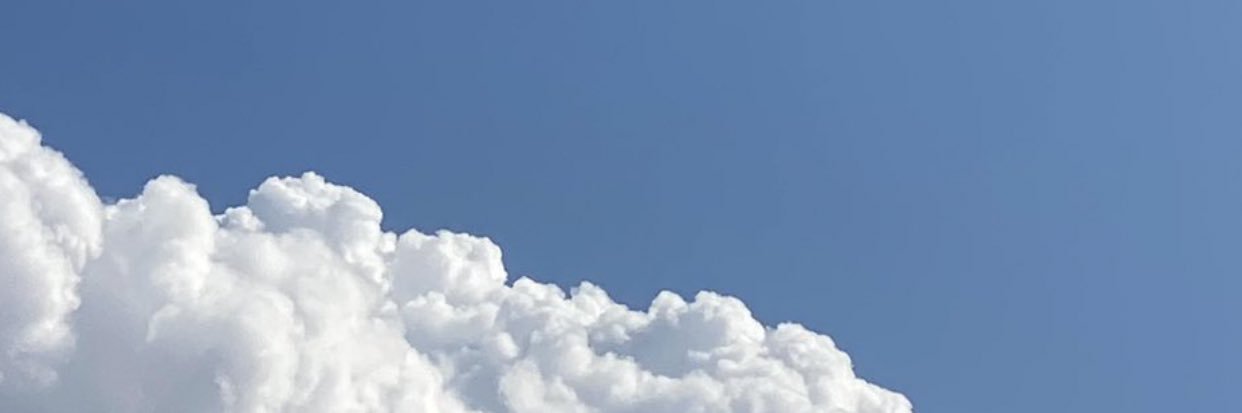 amalhalabi_'s profile banner image
