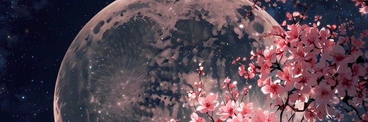 Shetaa_Pazu's profile banner image
